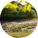 산골 독채 민박 이미지