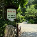 유명산258 이미지