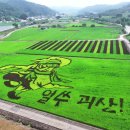 괴산꿀벌영농조합법인 이미지