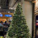 이마트24 봉일시장점 | [동대문 볼링장] 동대문 실내 데이트로 추천하는 볼링장 솔직후기 - 볼링볼링