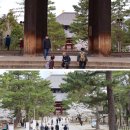 가람작은도서관 | 나라 벚꽃명소 도다이지 동대사 나라공원 야쿠시지