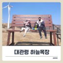 강원도 아이와 체험 대관령 하늘목장 트랙터 투어 4월 방문 후기!