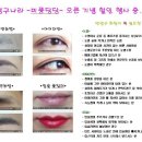 미인미남 Daum카페