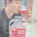 주스주스 | 수박주스 만들기 먹스타 수박주스 솔직 후기