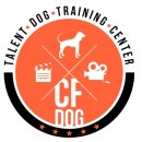 탤런트 독 스쿨 이미지