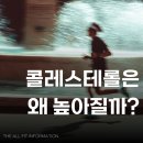 디올핏 피트니스 이미지