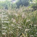 가인동물병원 | 11월 이모저모고모