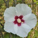 학운공원내 이미지