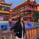 지정01 | 상하이 여행 중국동방항공 온라인 체크인 좌석지정 탑승후기