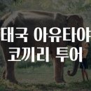 코끼리투어