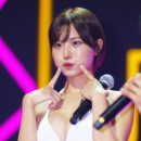 혼고 카카오 검색결과