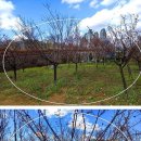 자유로농장 이미지