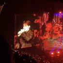 세븐틴 오클랜드 콜로세움 콘서트 후기