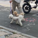 오월은 어른이날 우리들 세상~~
