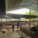 광영축산 이미지