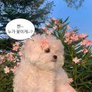 UR(경주시)-[경감로]-상-18 | 햄💝꾸 일상]3/13-14 100일기념 경주여행(2탄)- 경주엑스포대공원 솔거미술관, 경주 뷰델카라반 후기