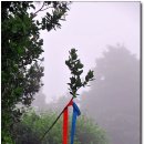 진용목장 | 제주의 아픈역사, 삼별초군 최후의 격전지 항파두성과 환해장성