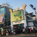 충무활어시장