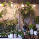 경기도 수원시 팔달구 장다리로219번길 17 (인계동) 이미지