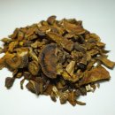 라인약국 이미지