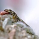 마루공방 이미지