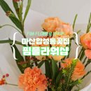 핌플라워샵