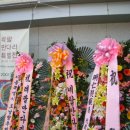 성황칼라
