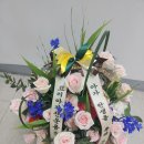 [강남꽃집] 영영사모 꽃배달에서 출산한친구 꽃바구니 배달후기!