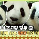 청린농장 Daum카페