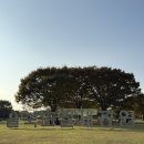 하단동1209 이미지