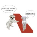 ⚾️ KBO 야구팬들 평소 다른팀에 궁금했던거 무물하는 달글 이미지