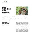(주)카카오패밀리 이미지