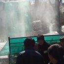 억조축산 이미지