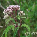 별이사는집 이미지