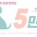 멍냥살롱 이미지