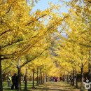 썸피싱카페 이미지