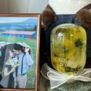 부케로운 이미지