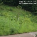 중랑캠핑숲양원청소년독서실 이미지