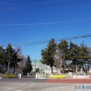 단포반점 이미지