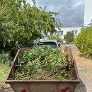 영서 독일 존더스하우젠 집 2025.07 이미지