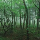 플랜JD 이미지