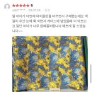 베르디나
