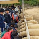 고창청정유기농낙농영농조합법인 이미지