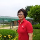 길안초등학교 이미지