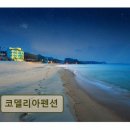 코델리아스파펜션 | <양양 펜션 추천> 코델리아펜션 현지인도 인정한 청결과 친절