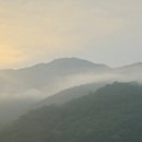 백동진농장 이미지