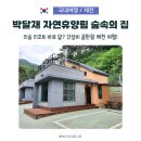 씨유 청풍호반케이블카 2호점 | 제천 박달재 자연휴양림 숲속의집, 리솜 앞인데 주말 6만원에 반값여행까지?