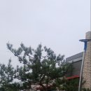 스테이마당
