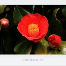 동백산방 이미지