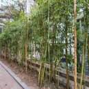 남구청사 별관 1층 이미지